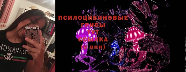 прущая мука Аркадак