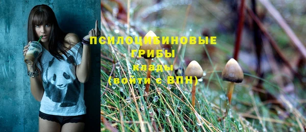 2c-b Армянск