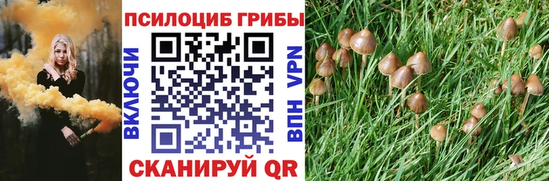 купить закладку  Петушки  Галлюциногенные грибы ЛСД 